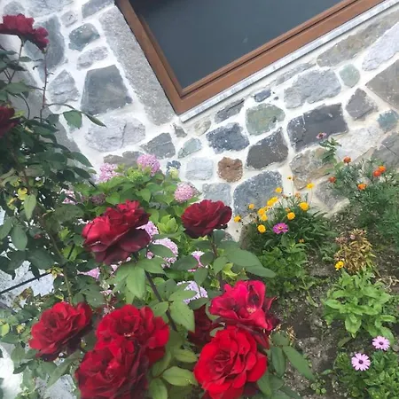 Guest house Bujtina Kometa