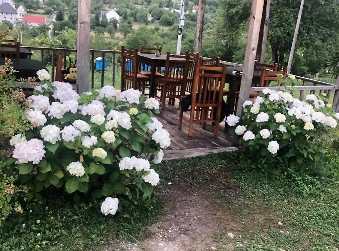 Bujtina Kometa 3* Тети