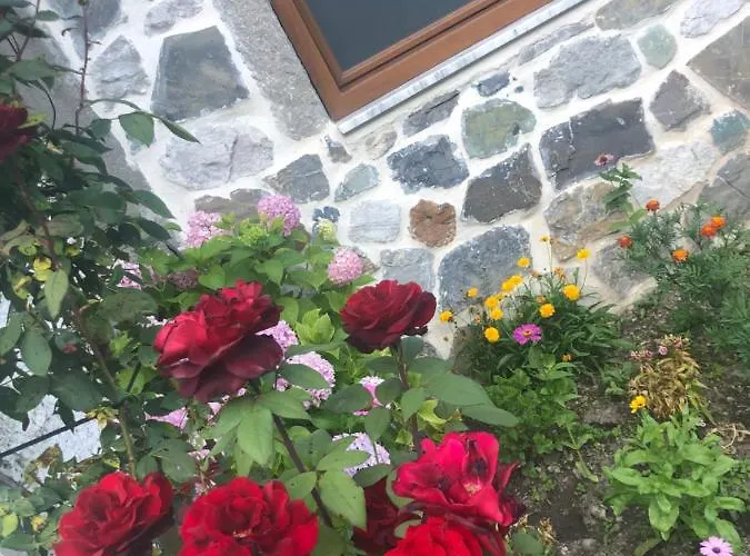 Гостевой дом Bujtina Kometa