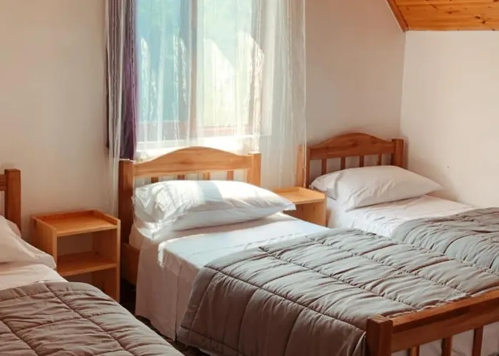 Bujtina Kometa 3* Тети